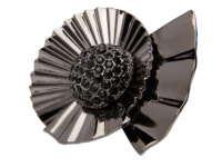 FR354698_1