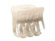 IVORY MARBLE