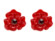 RUSSIAN RED